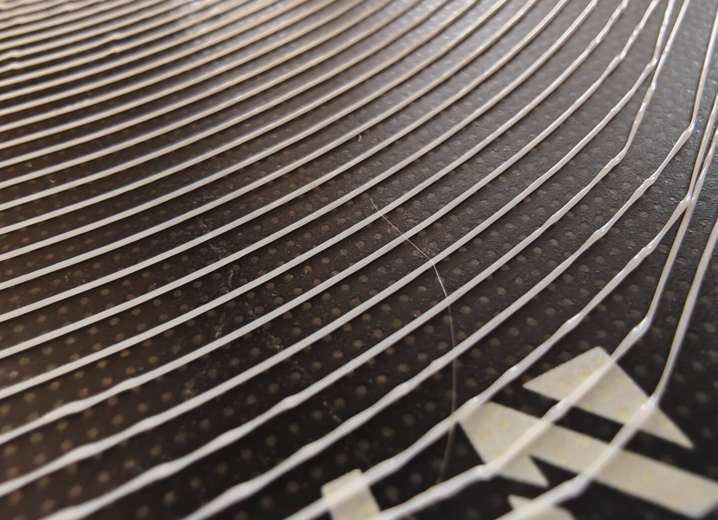 Macro de la sixième spirale : cordons réguliers, de même largeur d'une spire à l'autre
