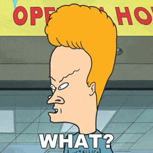 Beavis, l'air perplexe, articulant « WHAT? »