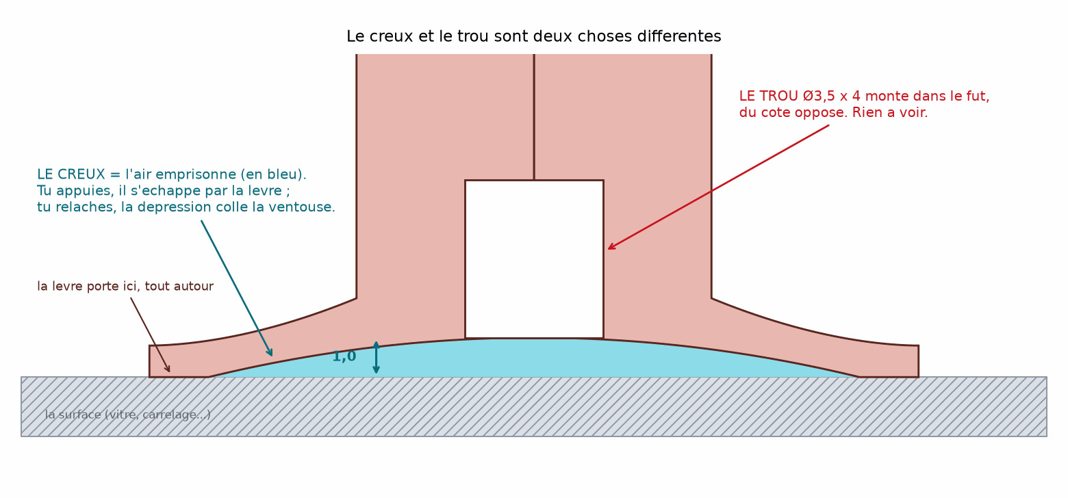 Coupe de la ventouse posée sur une surface hachurée, avec en bleu le volume d'air emprisonné sous la coupelle et en rouge le perçage qui monte dans le fût